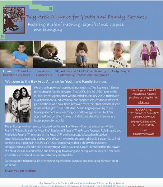 Bay Area Alliance for Youth and Family Services Website image  and link