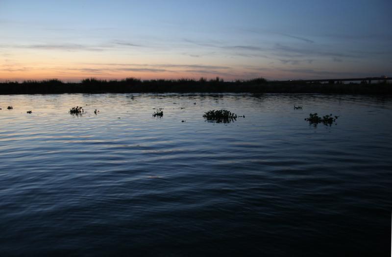 Delta Sunset #2 2004 