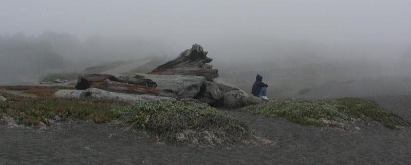 Alone Mendocino Coast 2002 