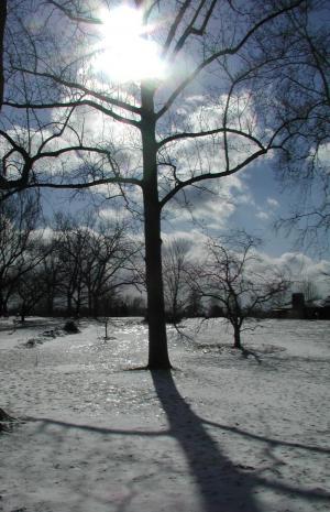 St. Louis Winter Day 2004