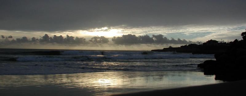 After the Storm Santa Cruz 2004 